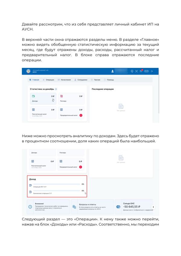 Инструкция по личному кабинету АУСН на сайте ФНС